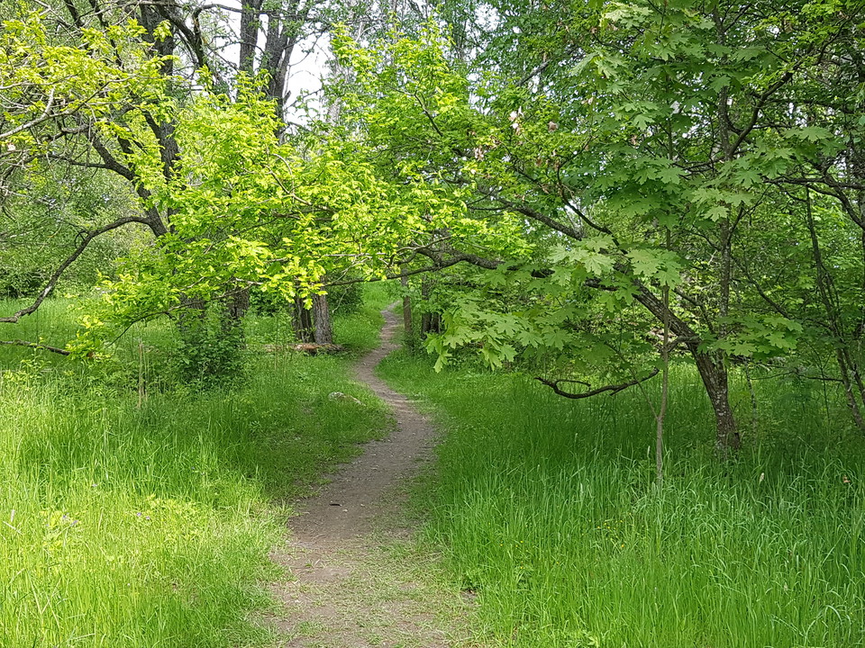 Upptäck Järfälla!