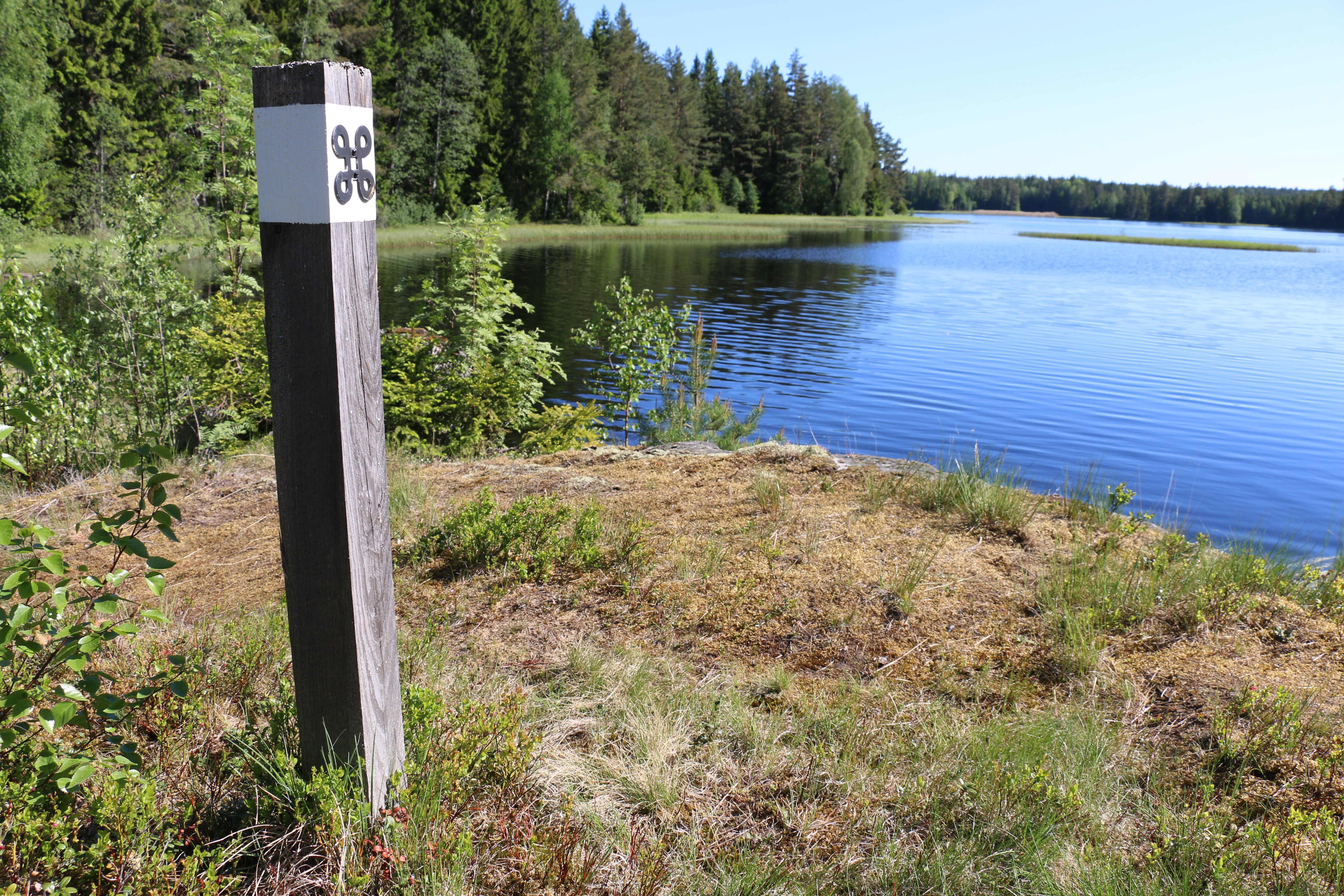 En stolpe med vit ledmarkering med en svart kringlar, som står i skog strax intill en sjö.