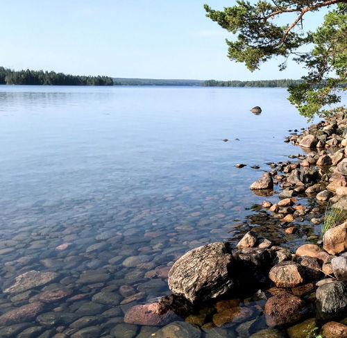 Undens Fiskevårdsområdesförening