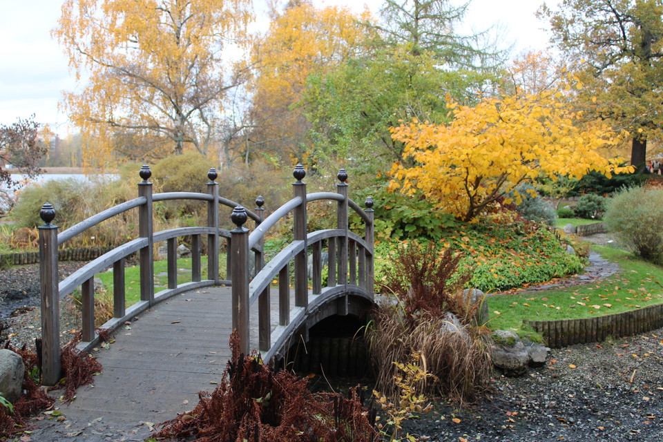 Japanska trädgården i Bergianska.