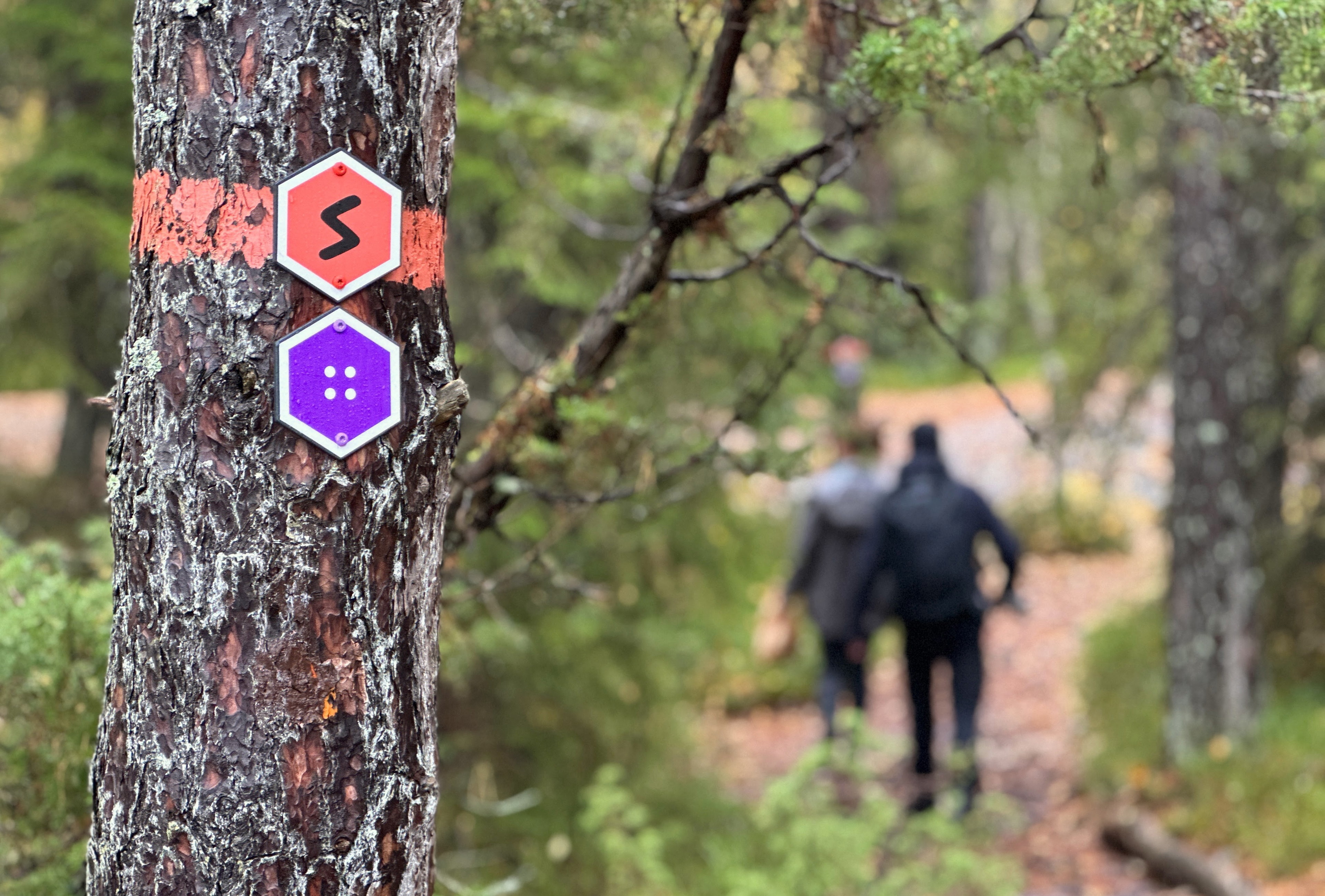 Under det regionala vandringsledsforumet den 5 november 2025 lanserade Länsstyrelsen Stockholm tills…