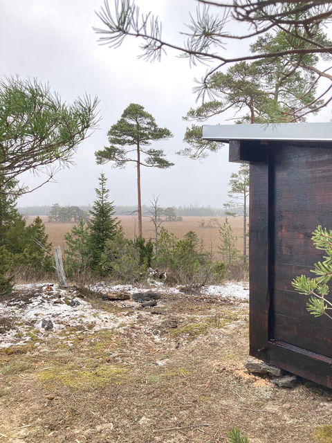 Svarttjärat vindskydd i skogsmiljö