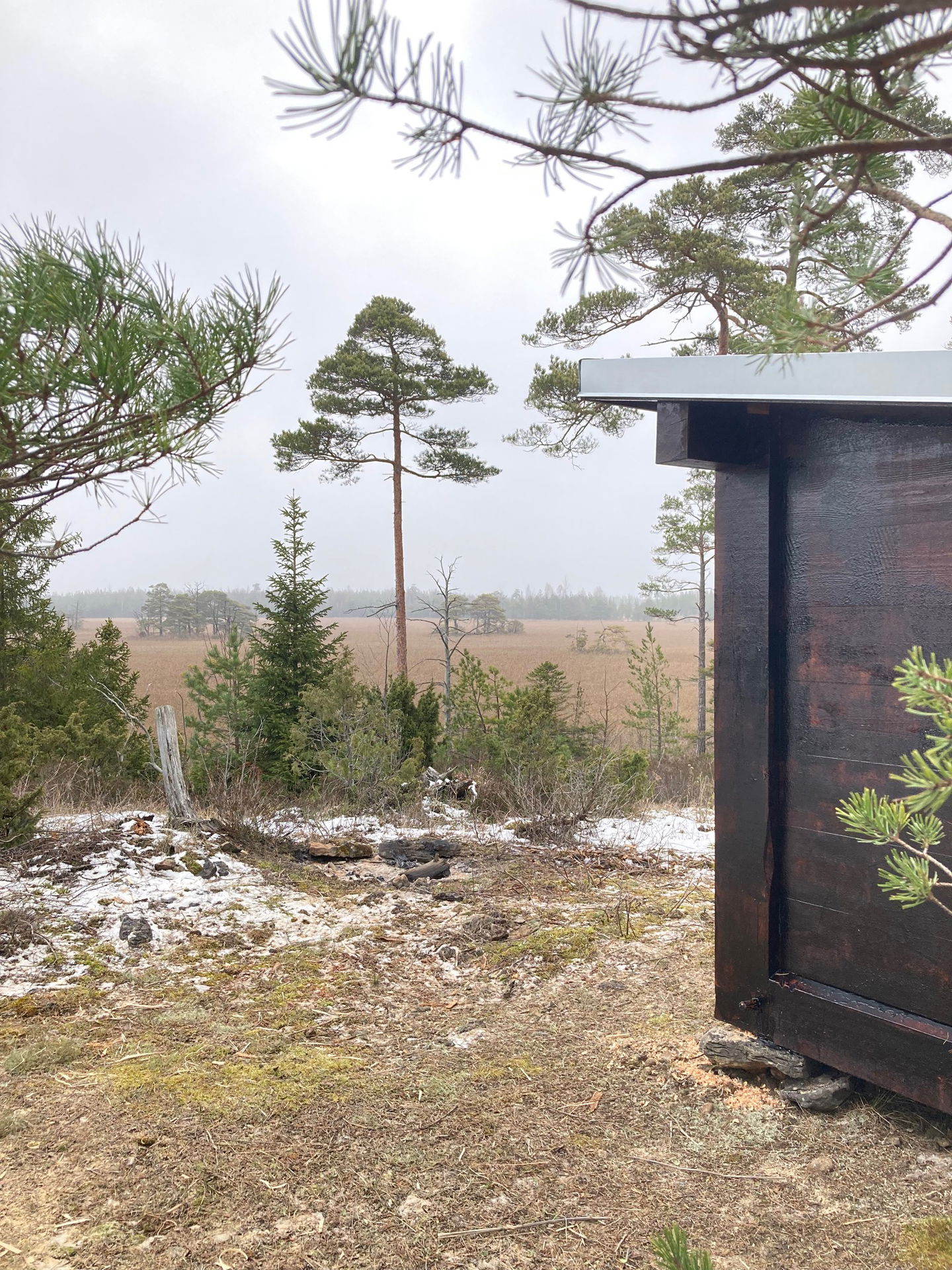 Svarttjärat vindskydd i skogsmiljö