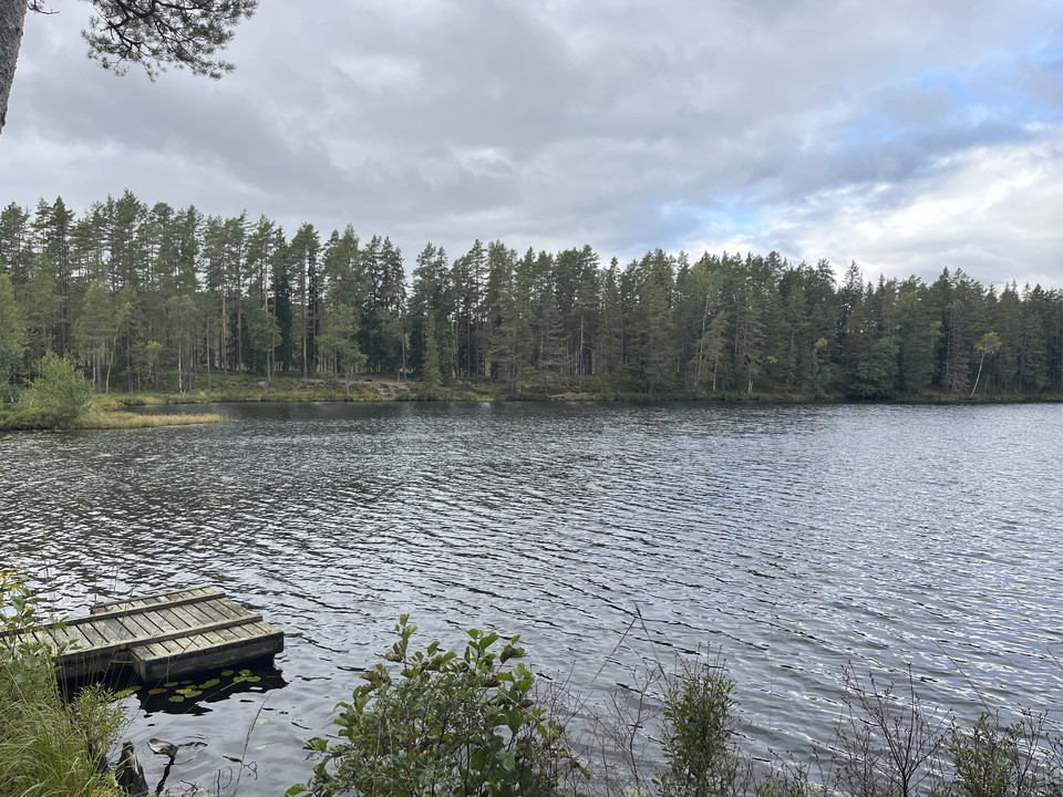 Vy Övre Långtjärn