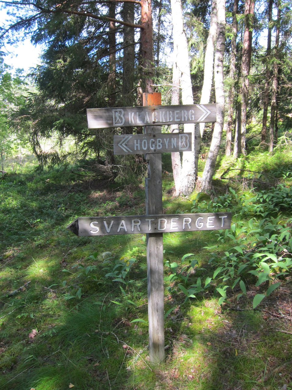 Skyltar av trä som visar vägen.