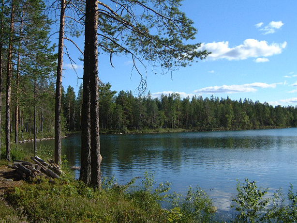 Torrbergstjärn