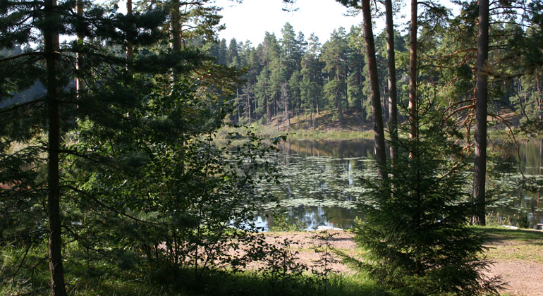 Mjölby