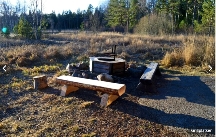 En grillplats med sittbänkar runtom står omgivna av skog.