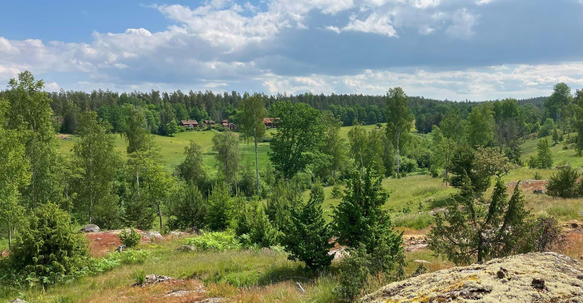 Fallingebergssjön rundslinga. Utsikt över landskapet.