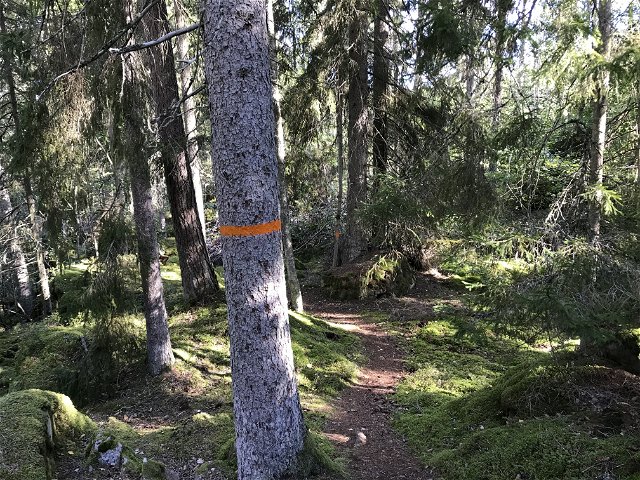 Misterfall-Kisa, Östgöta trail