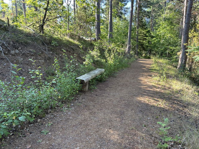 Bench, Alsterån