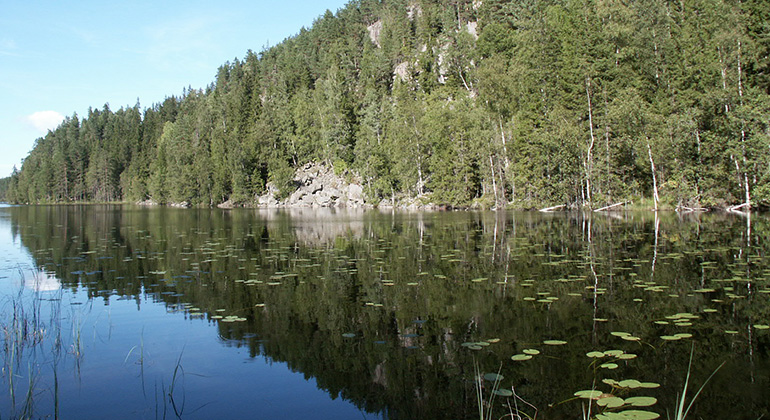 Gråberget, Naturreservat