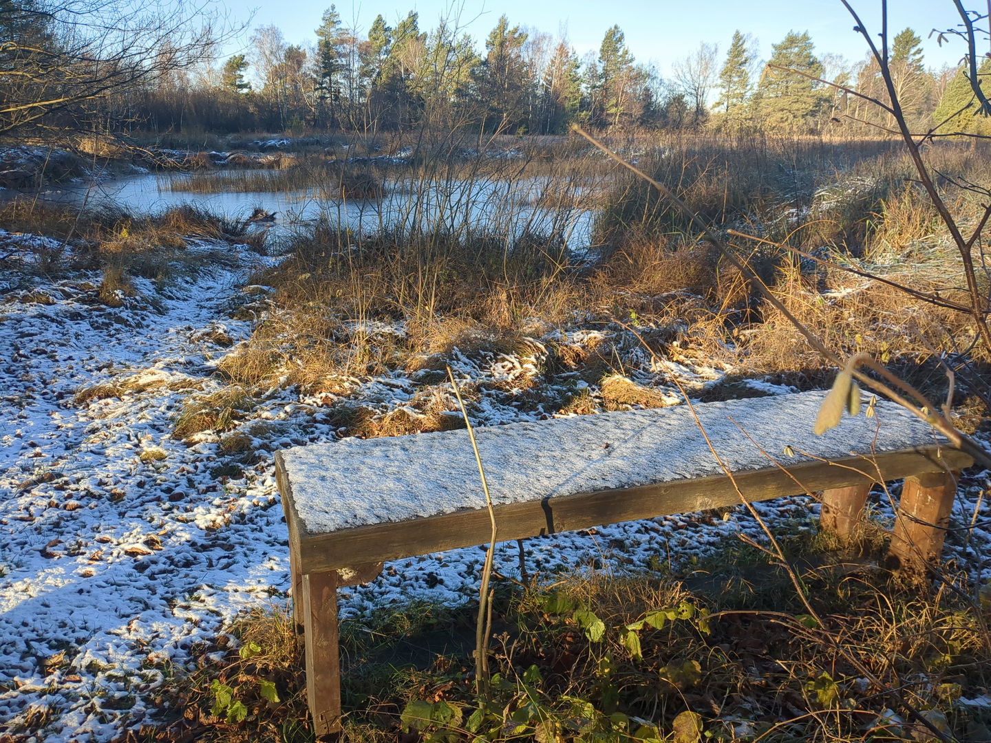 Sittbänk