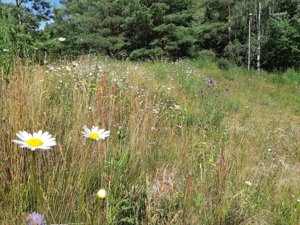 Kullar som du välkomnas att springa på.