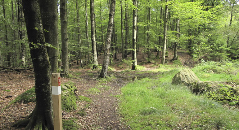 led och ledmarkering i reservatet