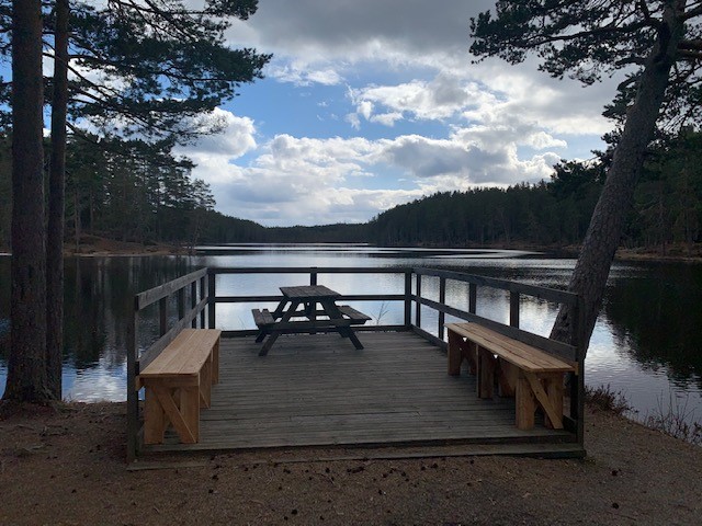 Handikappbrygga Mellantjärn