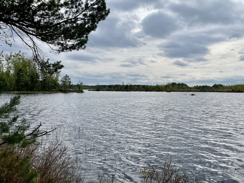 Foto: Josefine Gustafsson