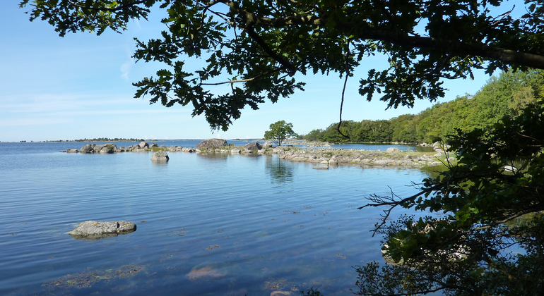 Lövskogskust, steniga stränder.