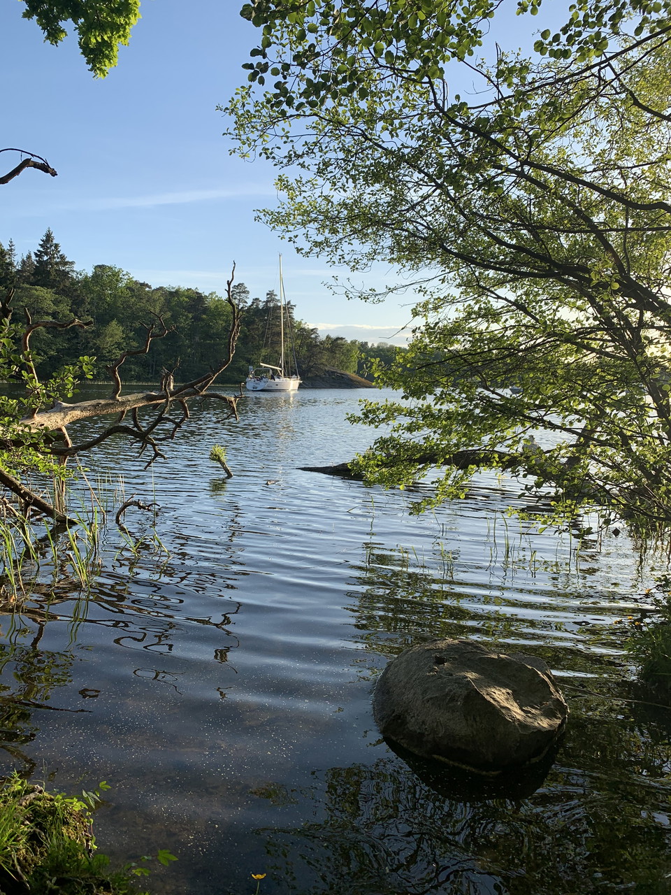 Kärsöleden, Lovö naturreservat. Foto: Lena Malmström