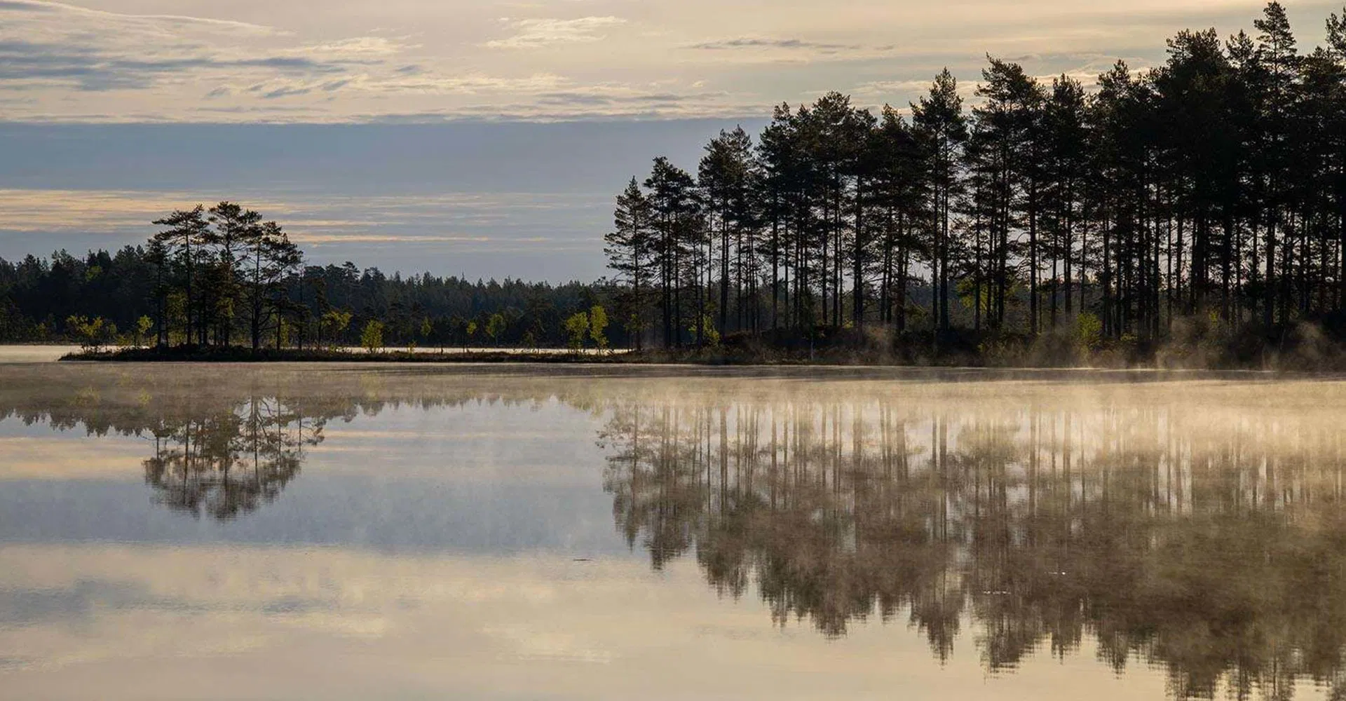 Kärnskogsmossen - Kristinefors, Östgötaleden