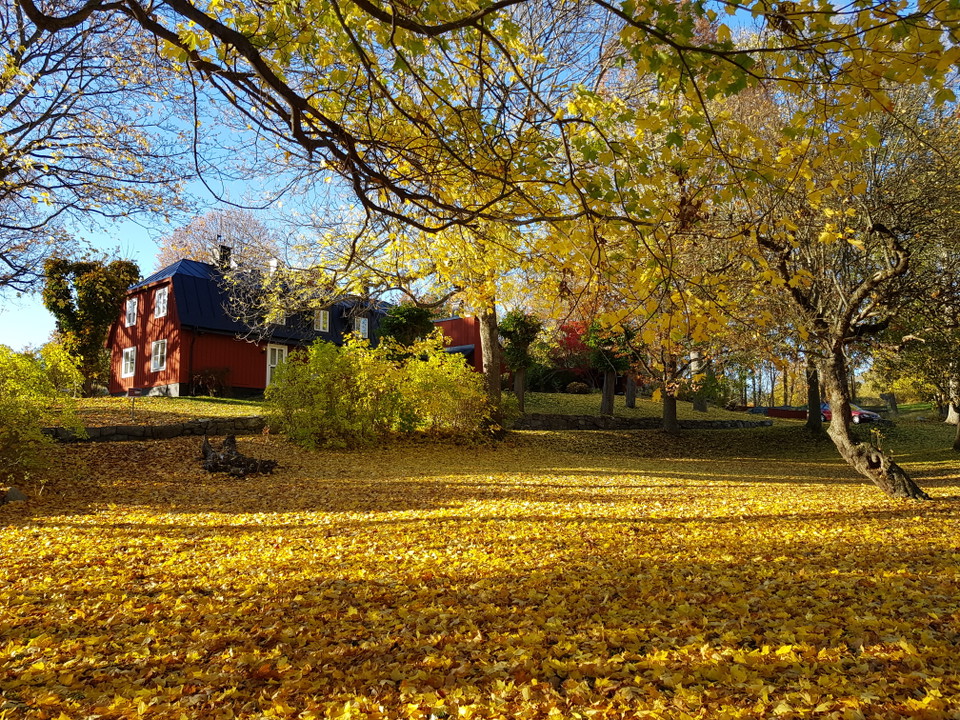 Mölna gård. Foto Lidingö stad