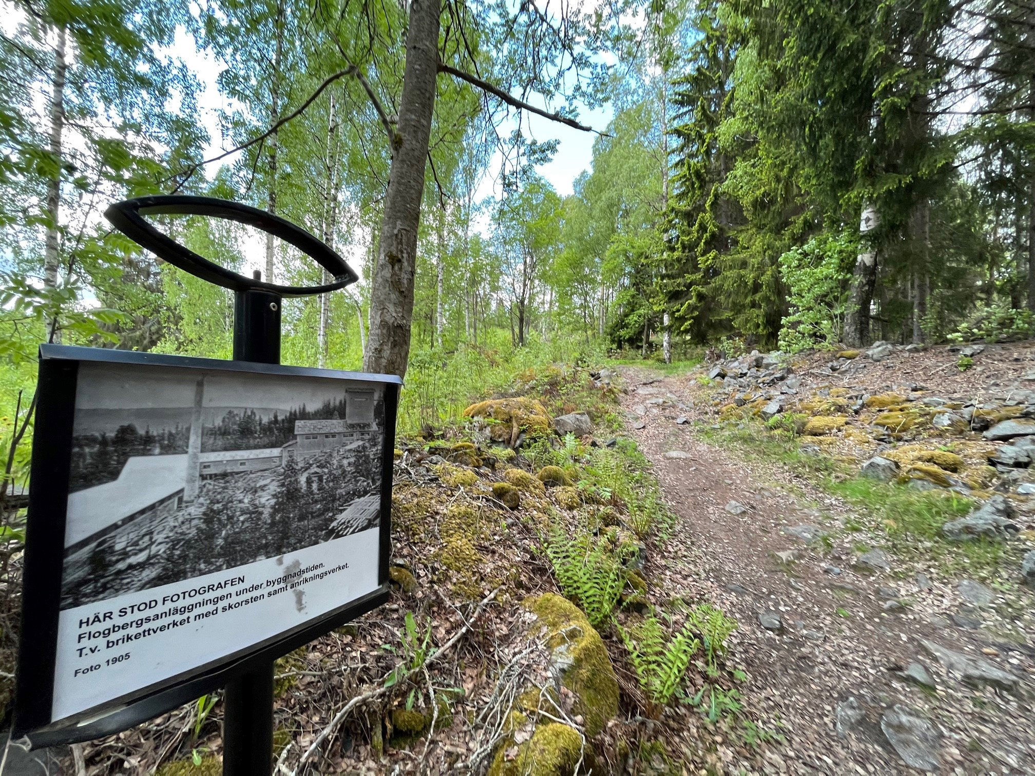 Flogberget Stollgångens stig