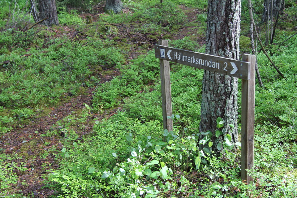 En träskylt med en pil och texten: Hällmarksrundan.