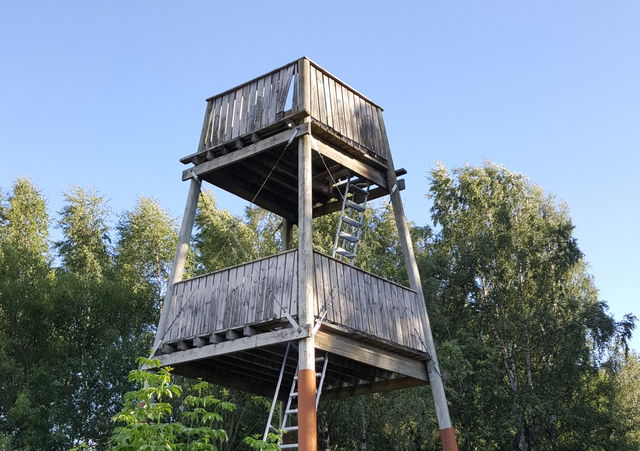 Fågeltorn, Gröngarnsåsen och Dyarna