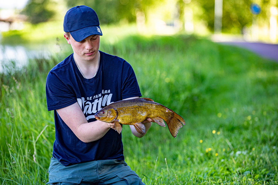 Cycling and fishing around Lake Vänern