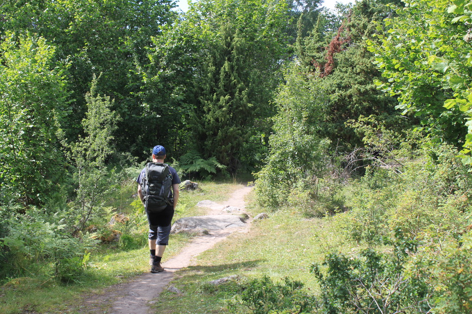 En man med ryggsäck på ryggen vandrar på smal stig. På båda sidorna av stigen är det lummig skog,