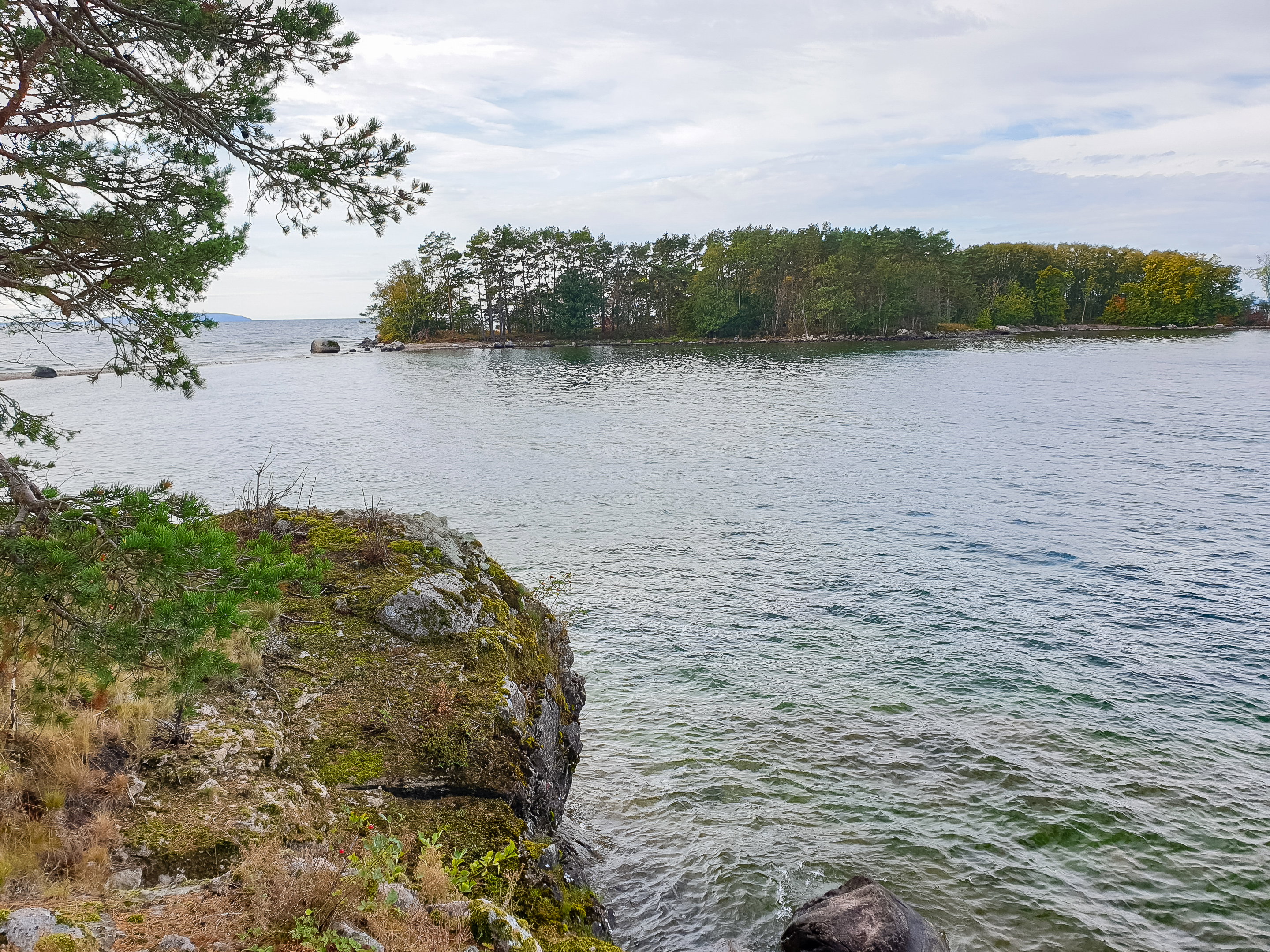 Fjuk (Motalabuktens öar) — Naturkartan