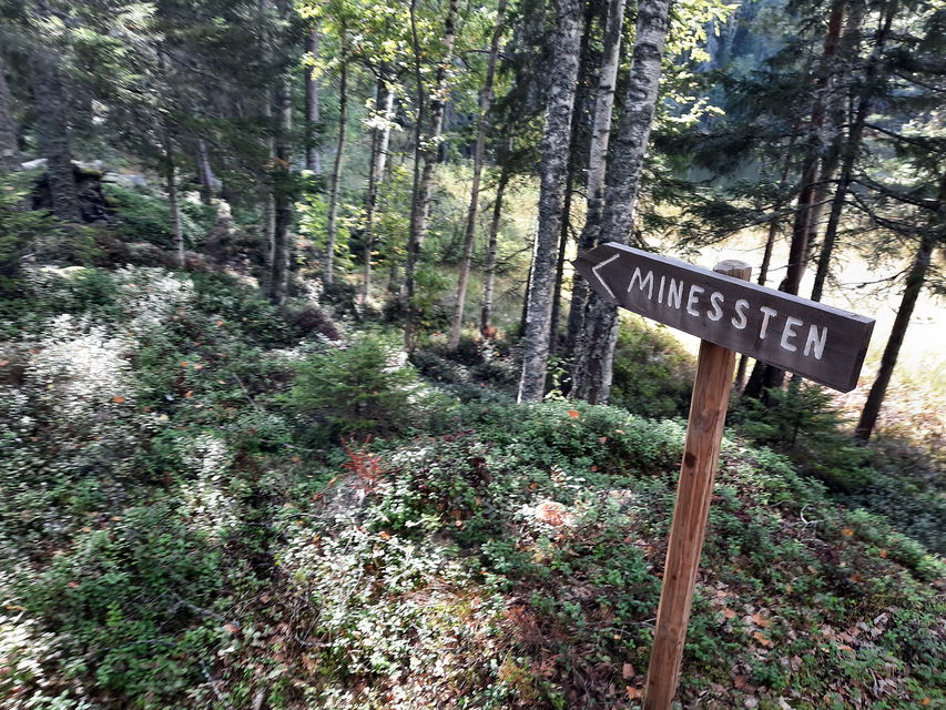 Minnessten vid Ögat
