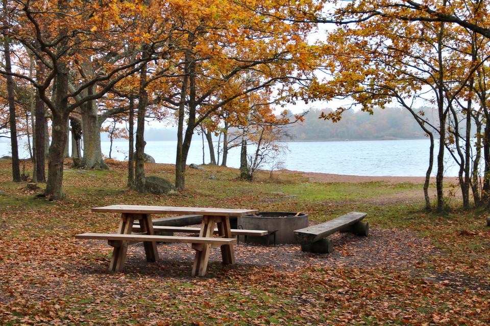 Grillplats vid badplats, höst