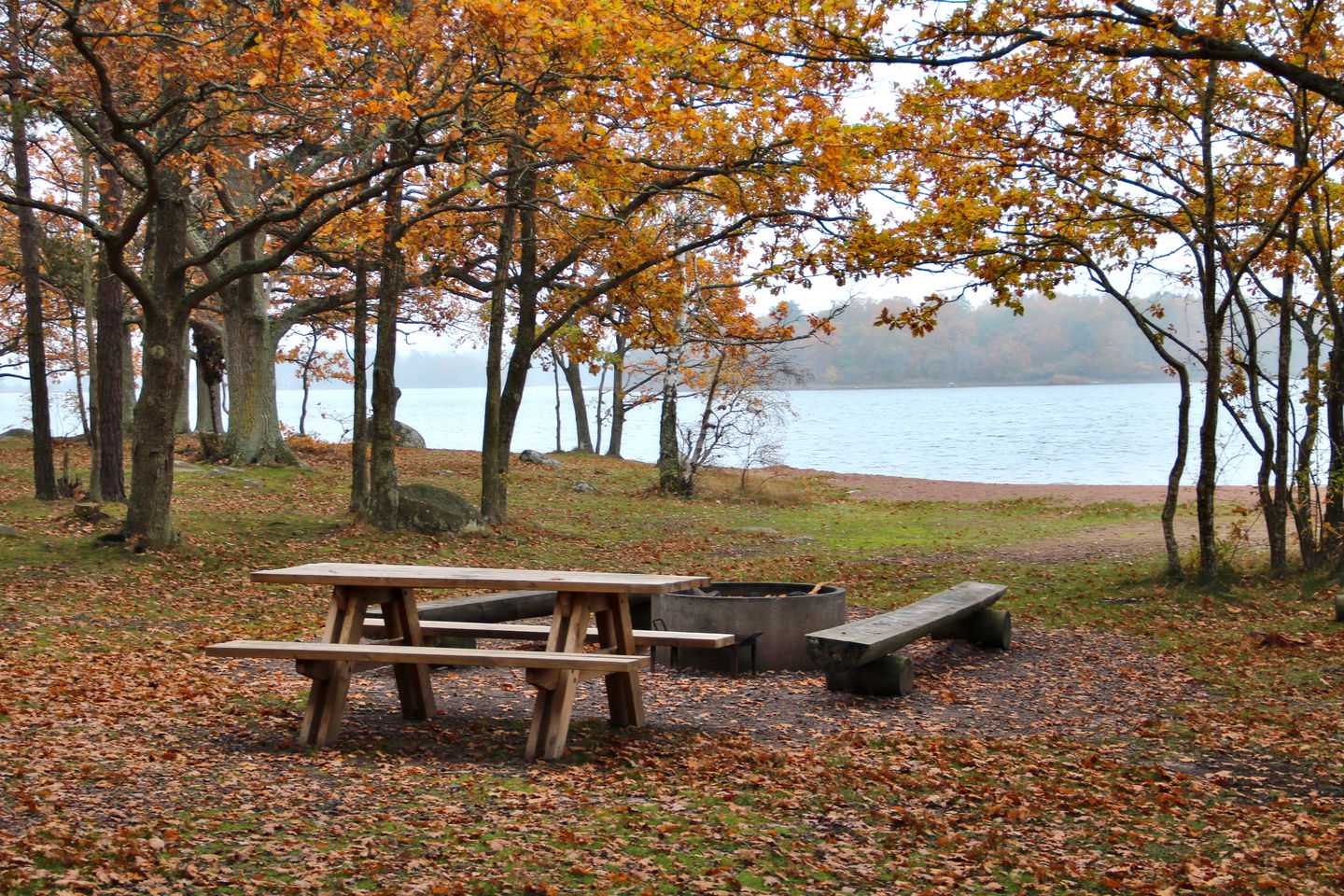 Grillplats vid badplats, höst