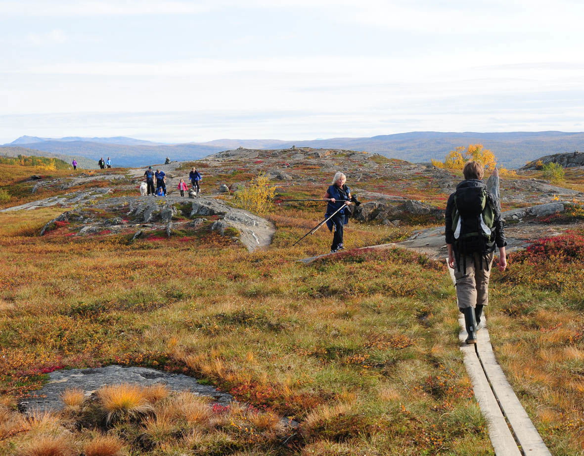 Vindelfjällen