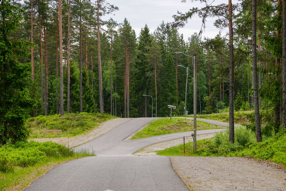 Foto: Johan Svedberg