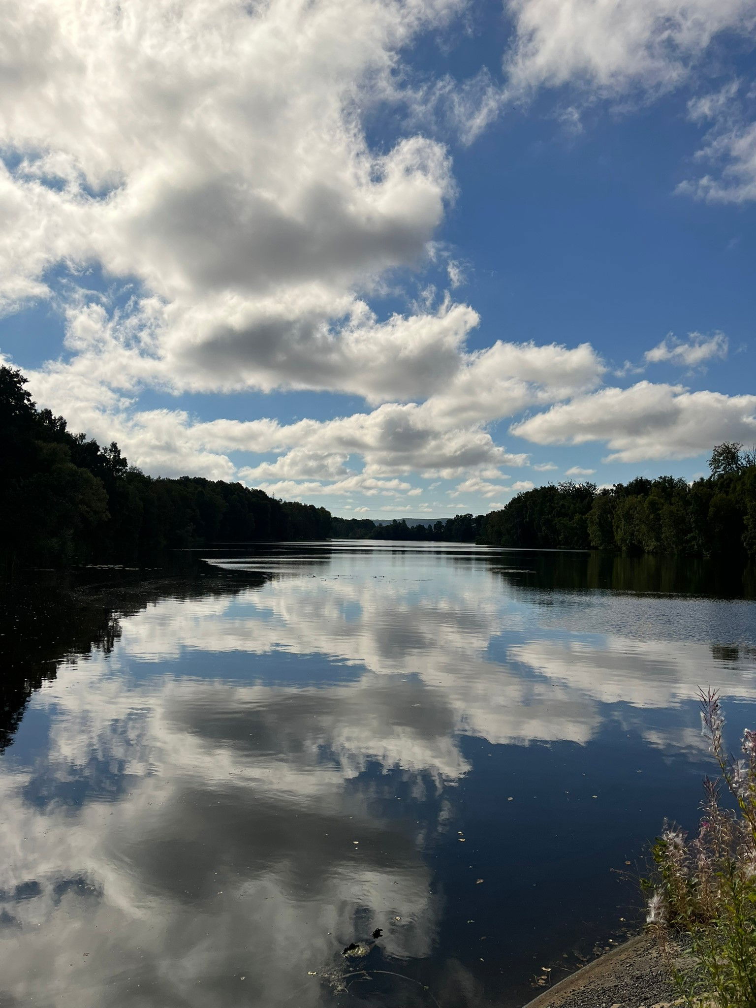 Vid Forsmöllan kraftverk är Rönne å uppdämd och bildar en sjö i