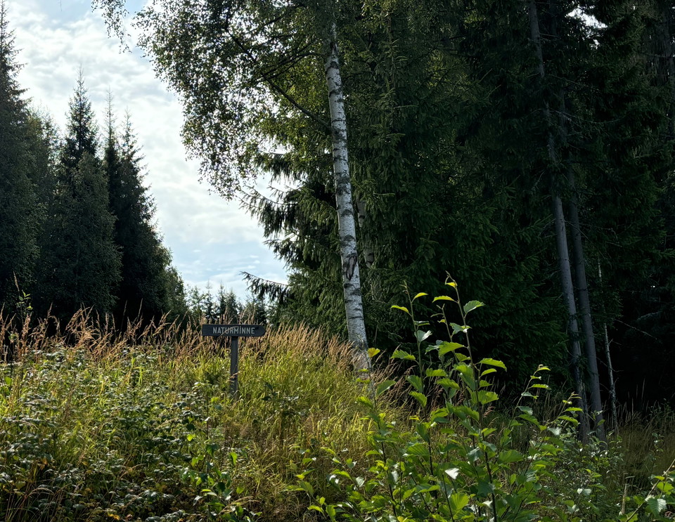 På väg mot Sporrberg