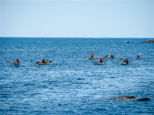 Kayaking trail Stenshamn – Sturkö