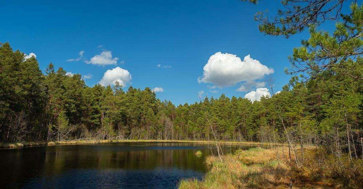 Vid Pukagölen.
Etapp: boxholm-Trehörna.
Boxholm.