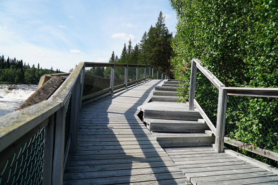 The vantage point platform