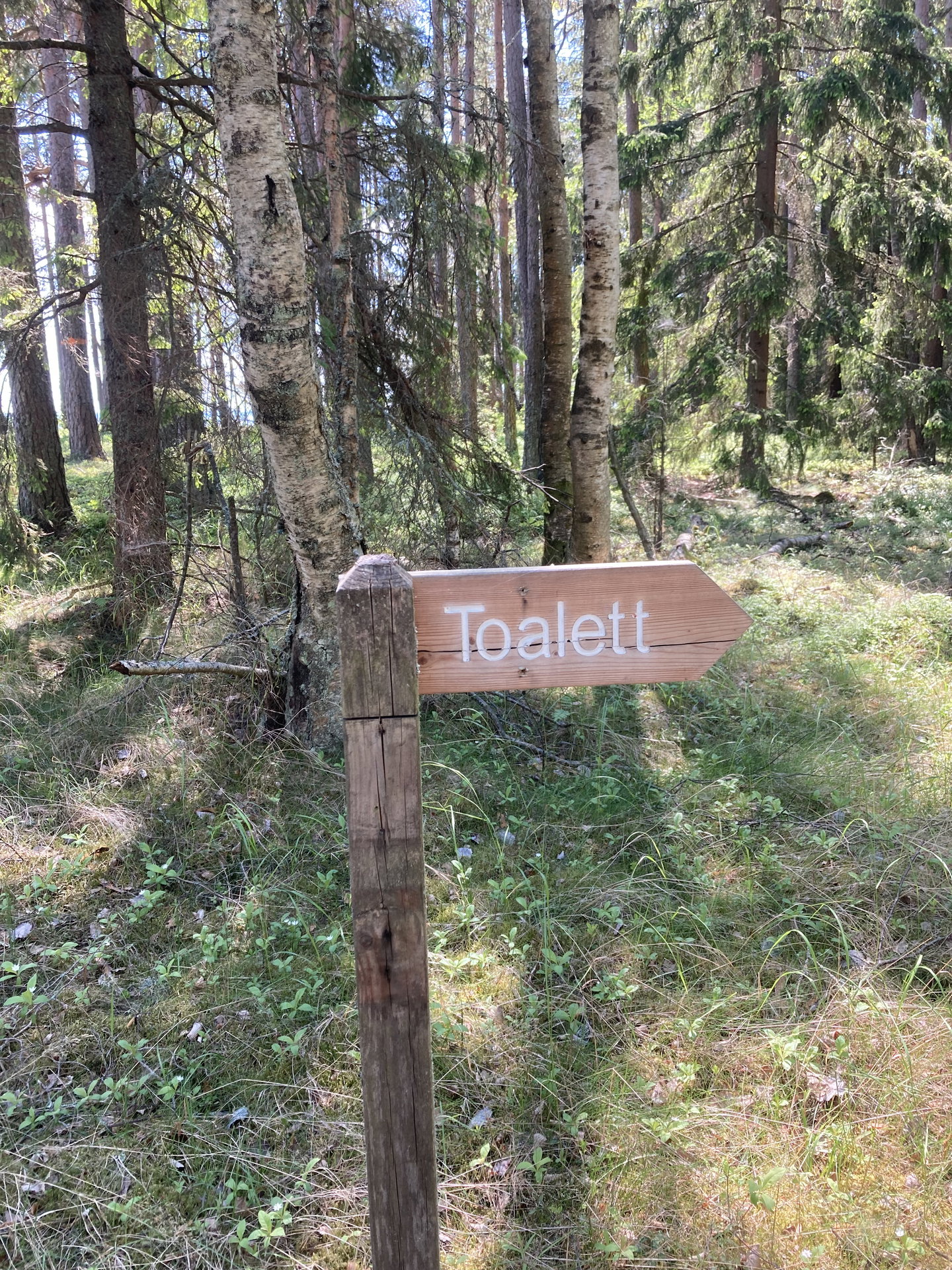 Torrdass Kristinehamn