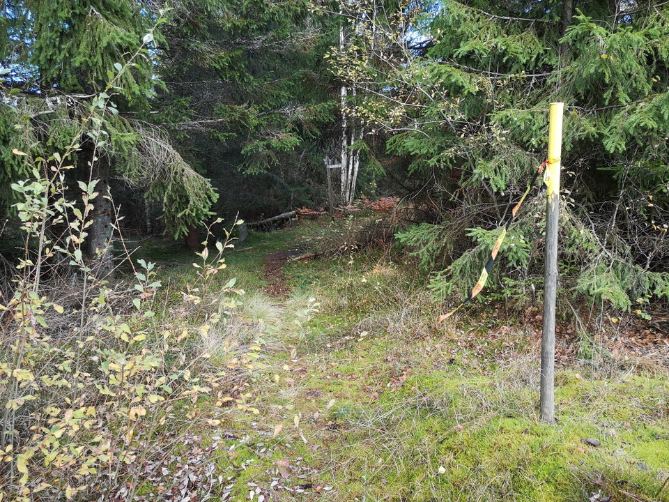 Längs med leden