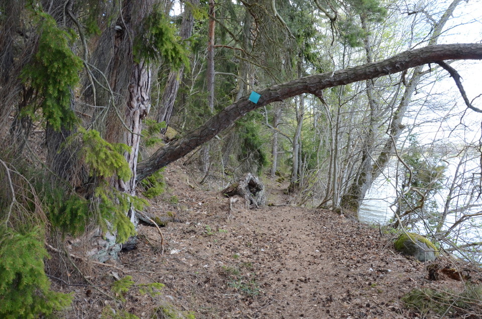 Stigen är del av Ekerö-Munsöleden och går längst vattnet.