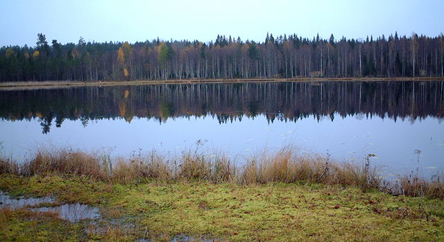 Alterberget