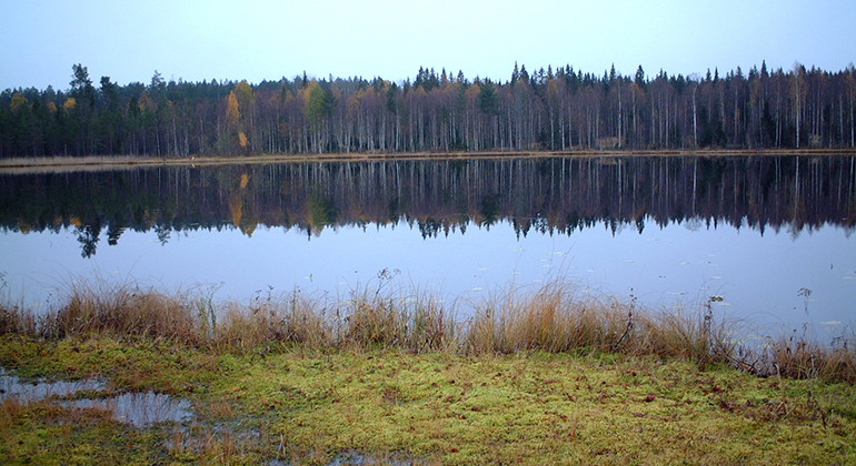 Gäddträsket, Alterberget.