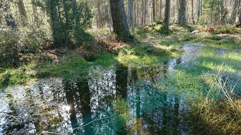 Kallvattenkälla.