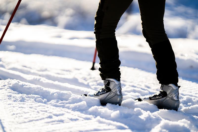 Skisko