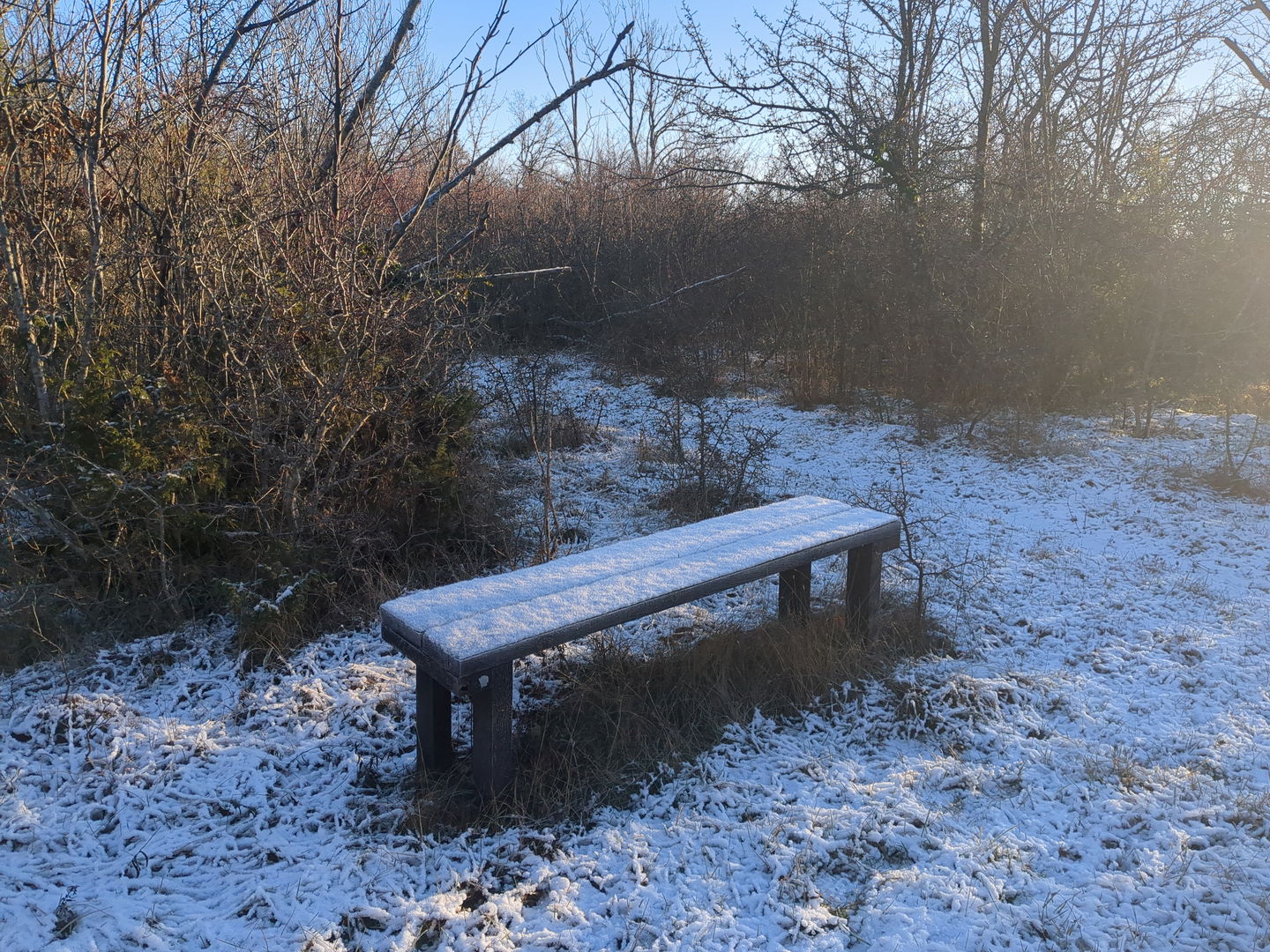 Sittbänk