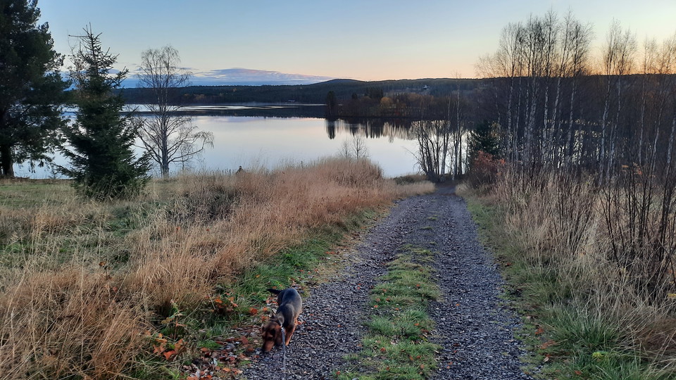 Vy från Åsen